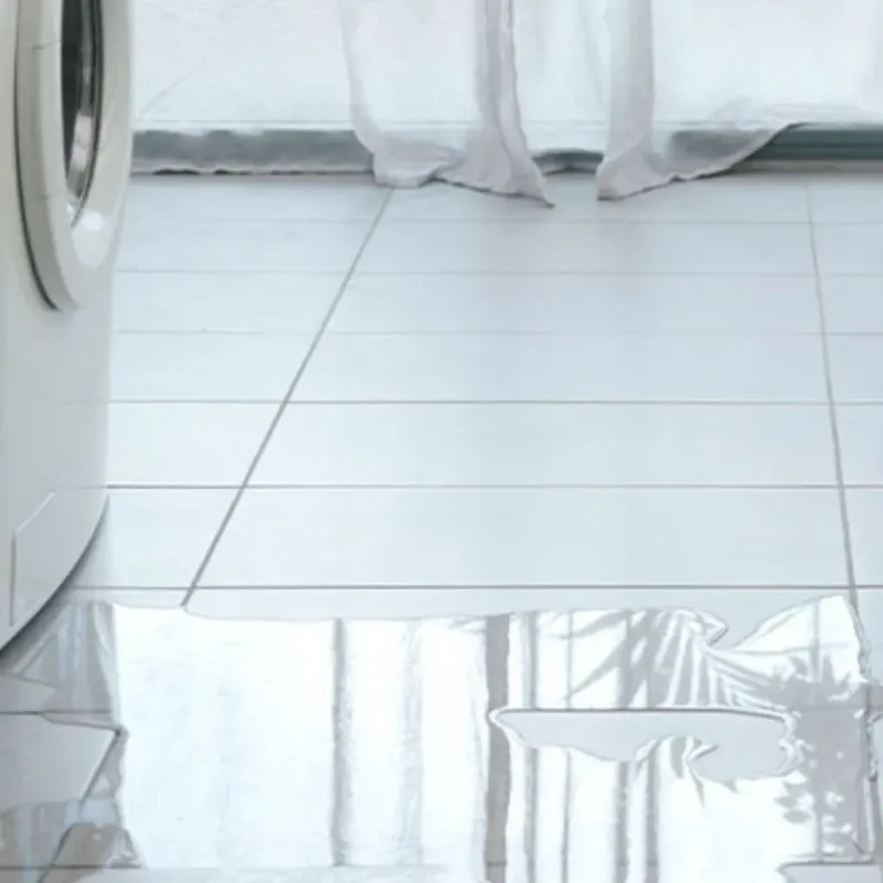 Appliance Leak Cleanup in Winchester, IL
