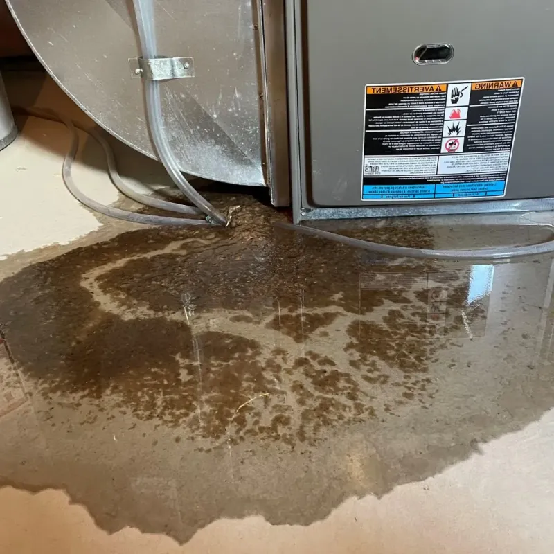 Pipe Burst and Leak Restoration in Winchester, IL