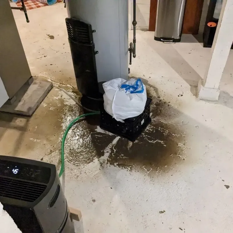 Sewage Backup Cleanup Service in Winchester, IL